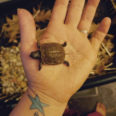 Rebel girl next door onlyfans leaked porn