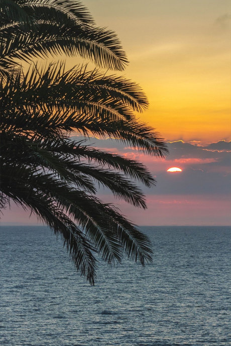 Princess Rea onlyfans leakd