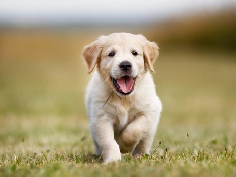 RobinKh desnuda onlyfans