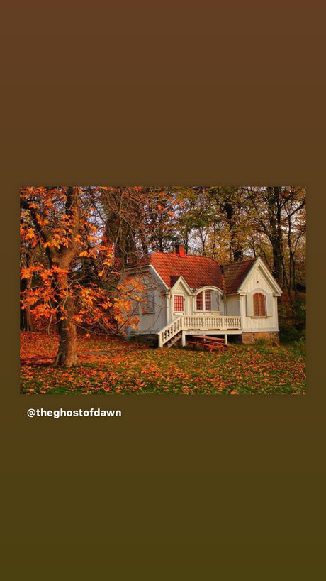 Ed s Place_ onlyfans nude tits