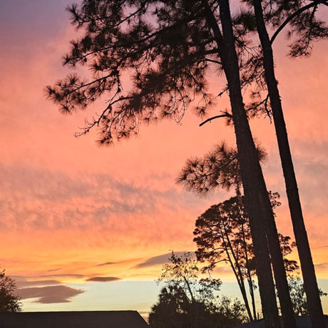 Riley Elizabeth nude onlyfans leaked