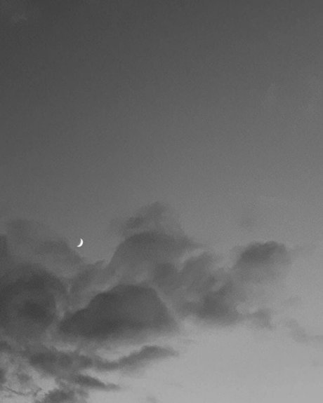 Andre Nikolai onlyfans free