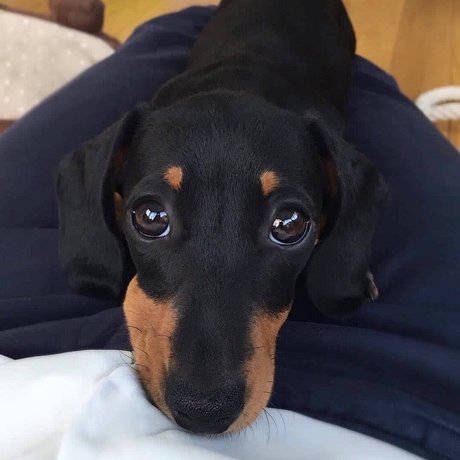 RICKY onlyfans leaked free