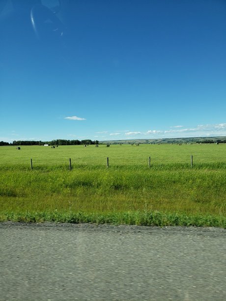 runnerphilv onlyfans porn