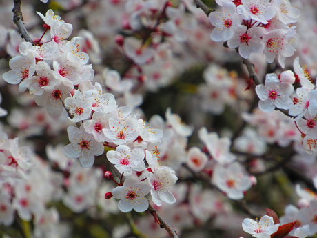 Ruhe Eva only fans pic