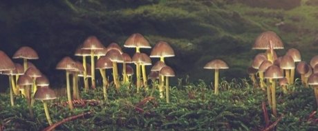 _rue_ naked only fans