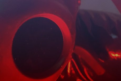 Rubber Lover SAM_ joi onlyfans