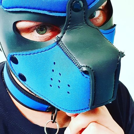 Sunshine live Edition only fans