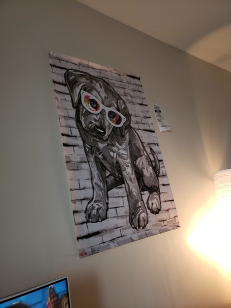 TacoPup nudes onlyfans leaks