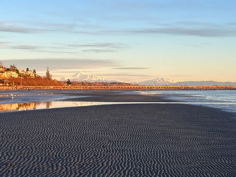 Rover Woodsdale nude on onlyfans