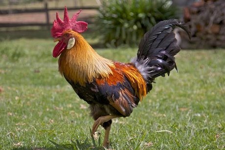 Rosa Valera on onlyfans