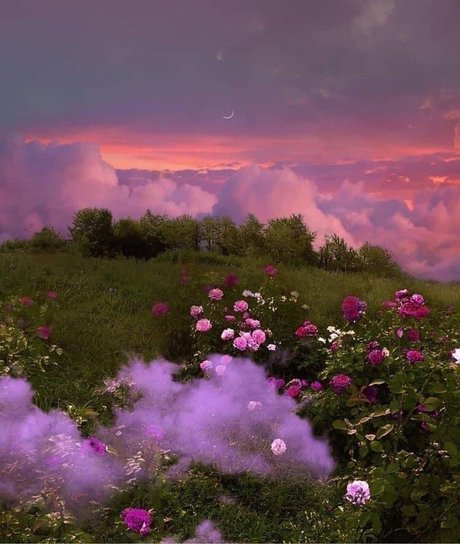 rosie booty onlyfans leaked.