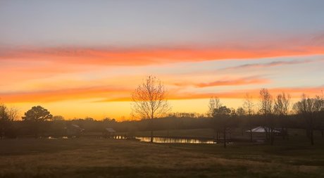 Rose Ink only fans leaks porn