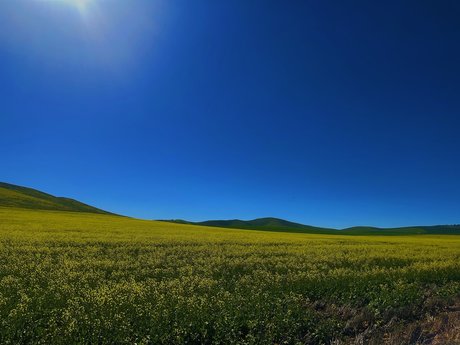 Sage Kingsley onlyfans strip