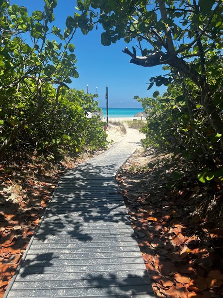 Ryan Barker leaked porn onlyfans