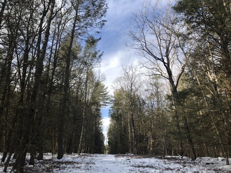 sabby onlyfans photo