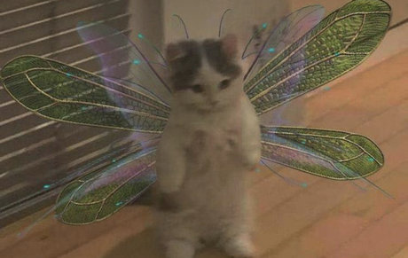 Saaga Aurora onlyfans pics nude