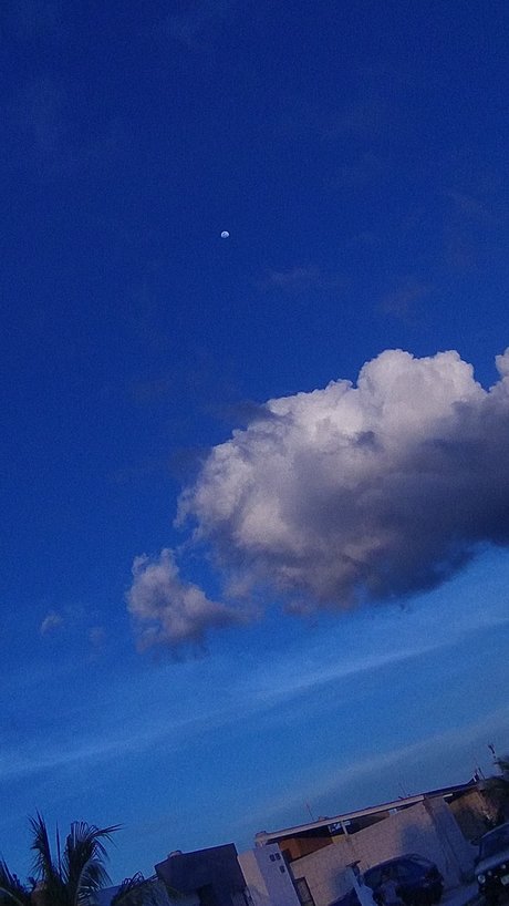 Blue Sky onlyfans model