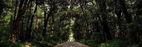 Ryuzaki_ onlyfans leak