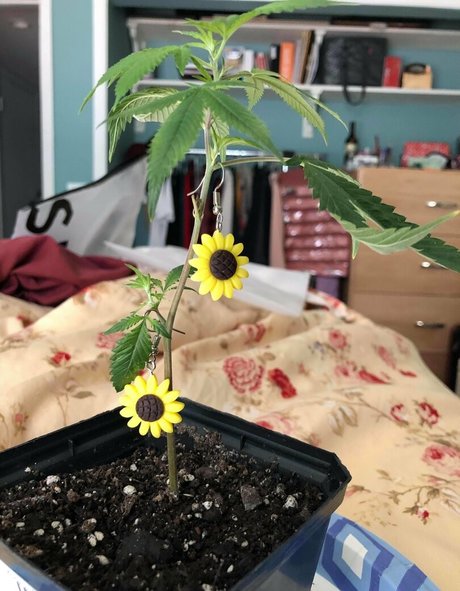 chubbychunky onlyfans strip