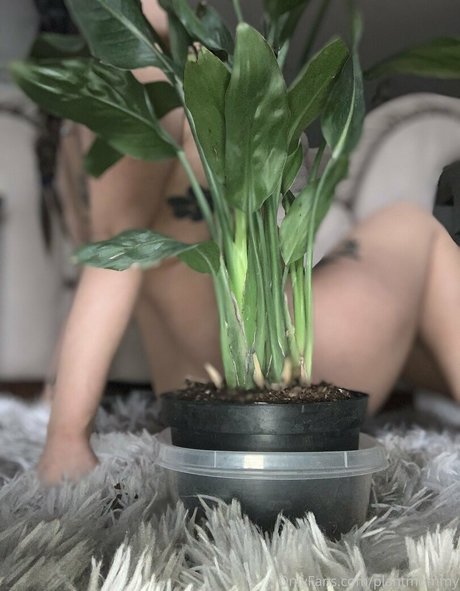 asia asahi onlyfans nudes