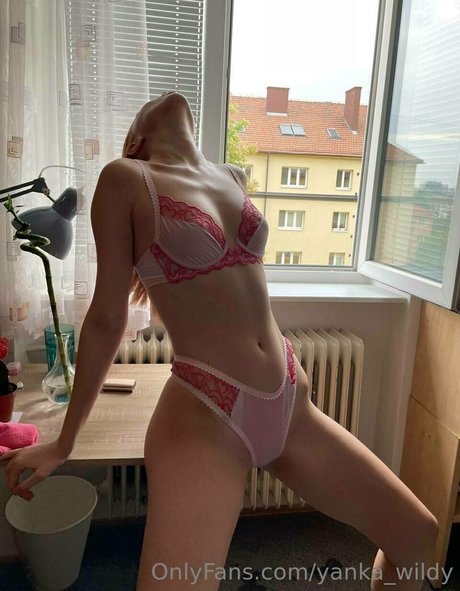 Yanka Wildy Profile pic