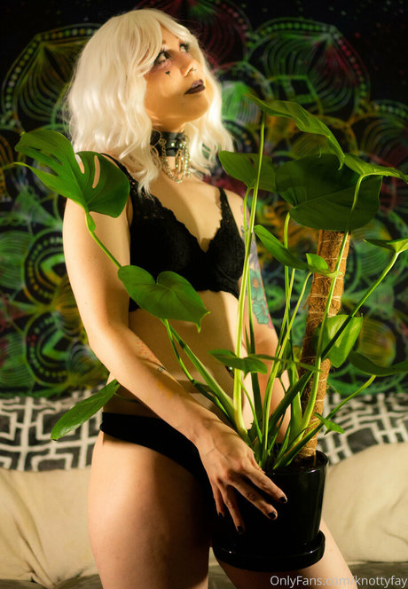 knottyfay only fans leak porn