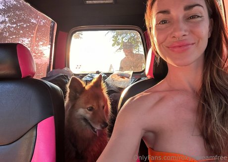 roxysdreamfree onlyfans leaks porn
