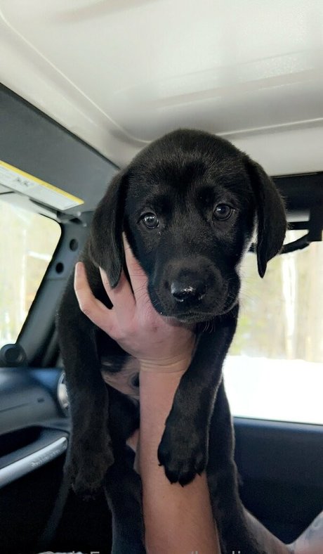 kaylinwrenn onlyfans leaks free