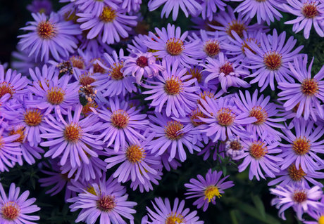 u37365736 only fans nudes