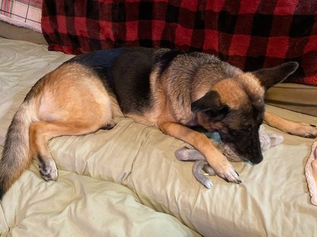 Sassy Jassy onlyfans