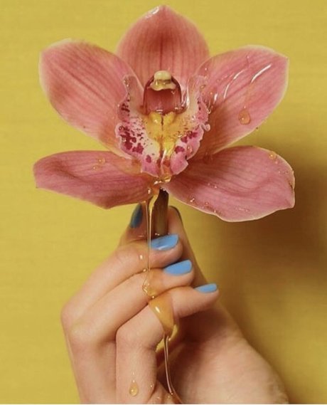 SashaSade xxx onlyfans