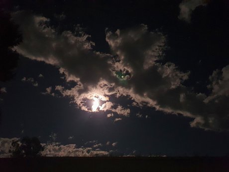 Sara Shelby nude onlyfans leaks