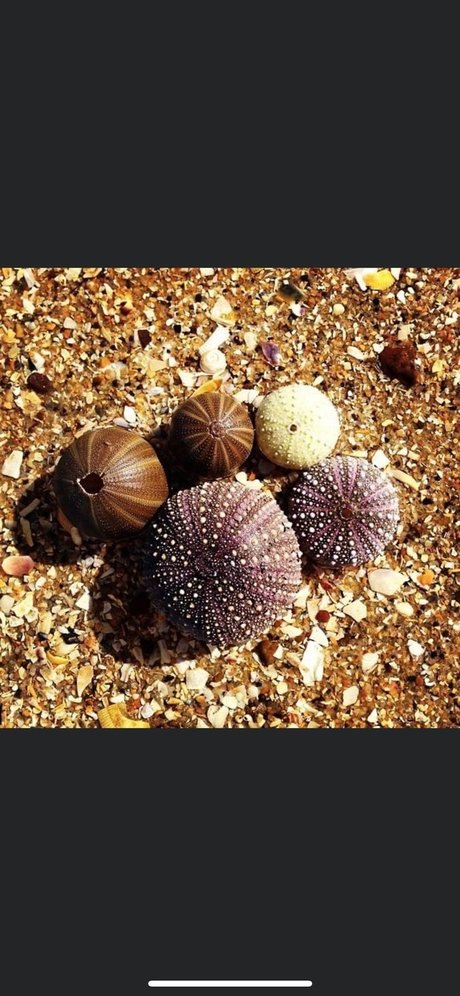 Sara07 onlyfans fuck