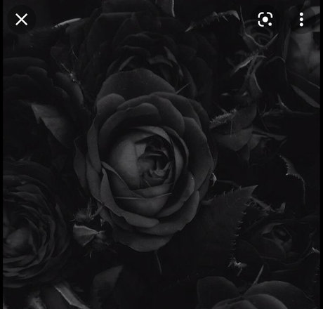 Santeria leak onlyfans porn