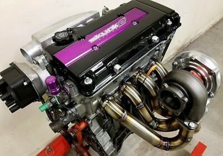 Man Dingo Warrior onlyfans naked