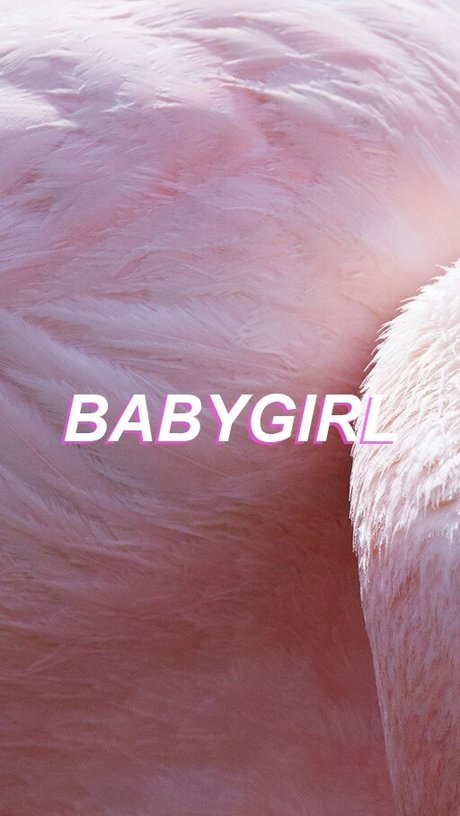 SanDan10 on onlyfans