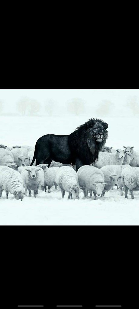 Sam Reese leaks only fans