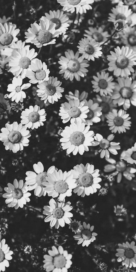 Sam Noskow nudes onlyfans leaks