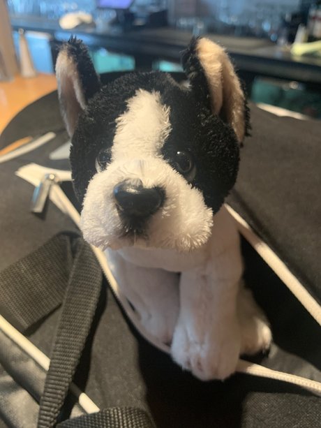 Grey Sweatpants Boy onlyfans leaked dirtyship