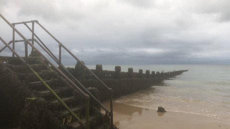 Your Queen Addi onlyfans leaked pics