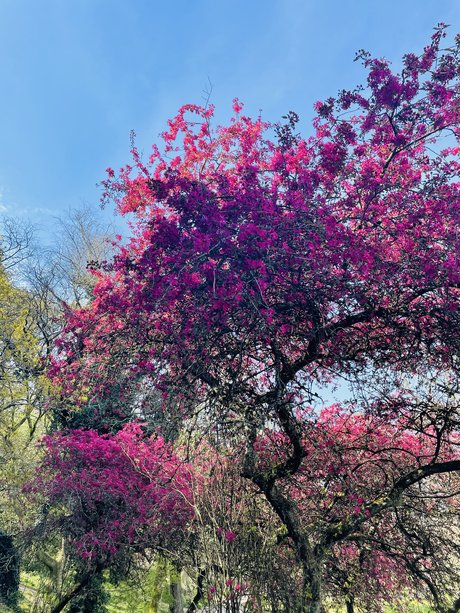 _Luna Deleis_ onlyfans free