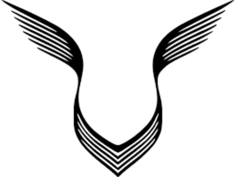 Strictlyraw on onlyfans