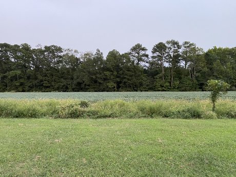 Savannah Rex only fans