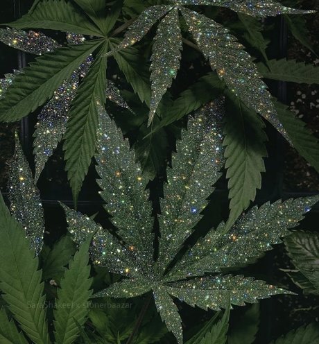 Sexy Sativa new leaked onlyfans