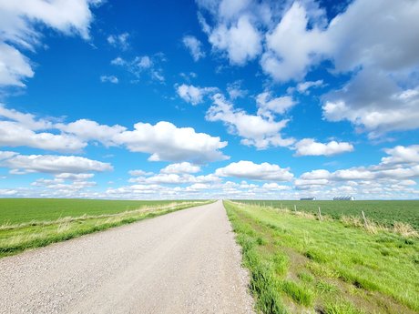 ScottFree1983x onlyfans public photos