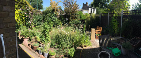 Robert Workman onlyfans leaks free