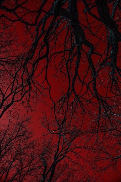 Shay len Skies xxx onlyfans