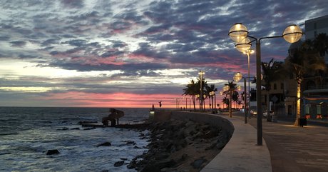 Darthmilo onlyfans hot