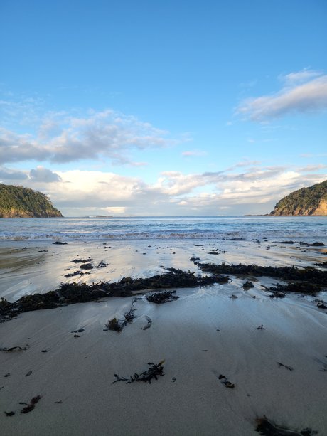 That Nawty B only fans leaks porn